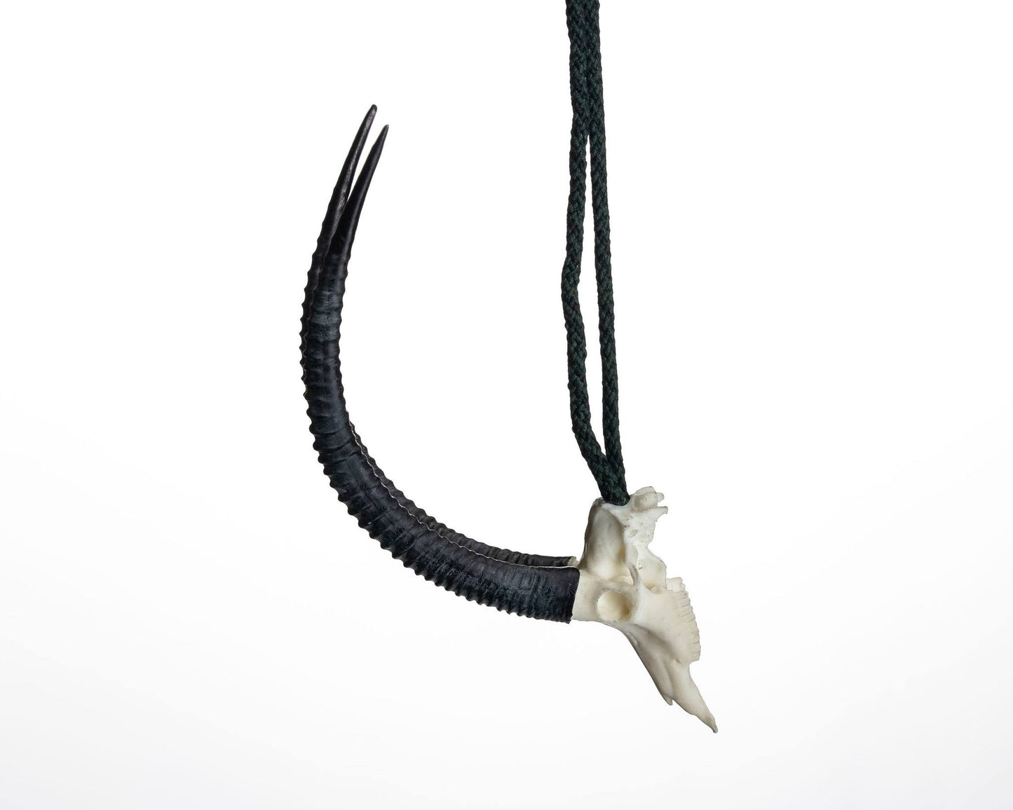 Resin Skullies - Miniature Replica Sable Skull