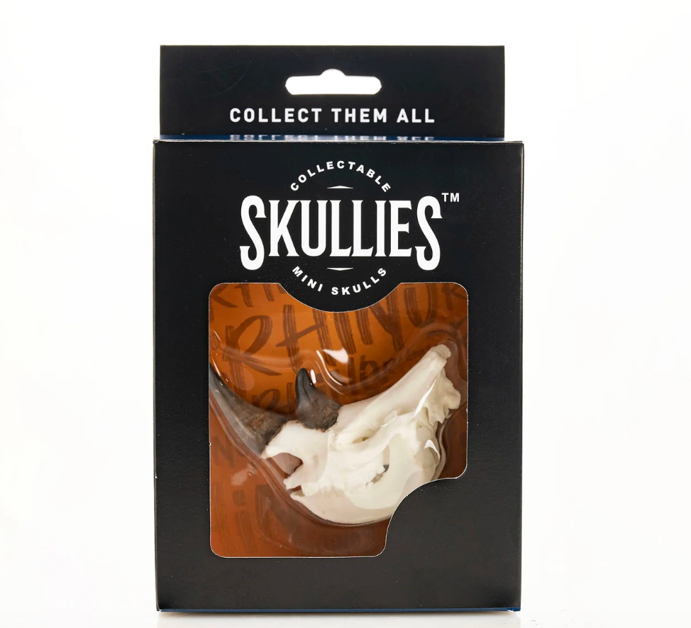 Resin Skullies - Miniature Replica Rhino Skull