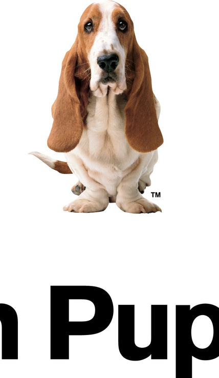 Hush Puppies