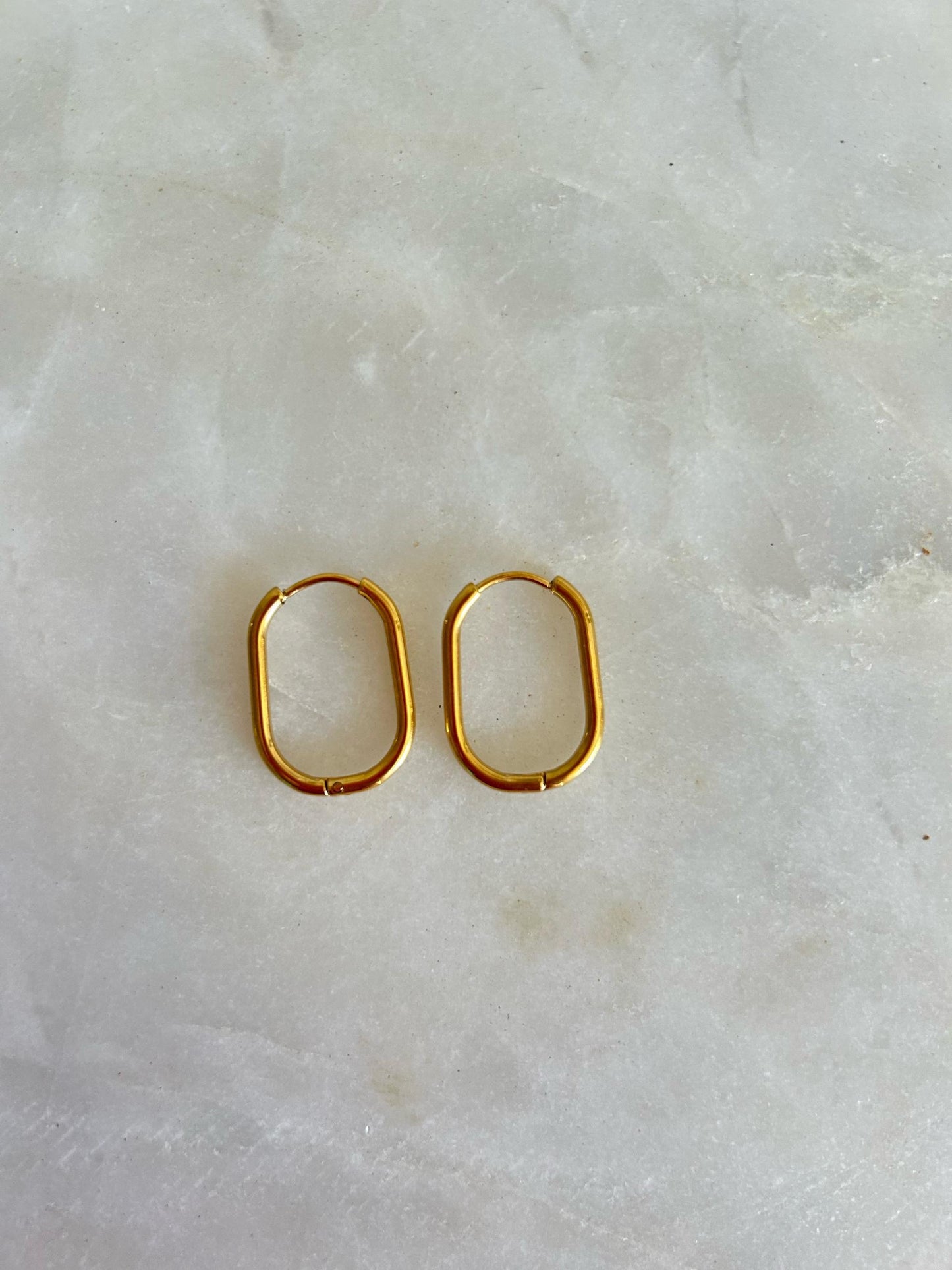 Mira Oval Hoop Earring