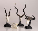 Skullies Display Pedestal