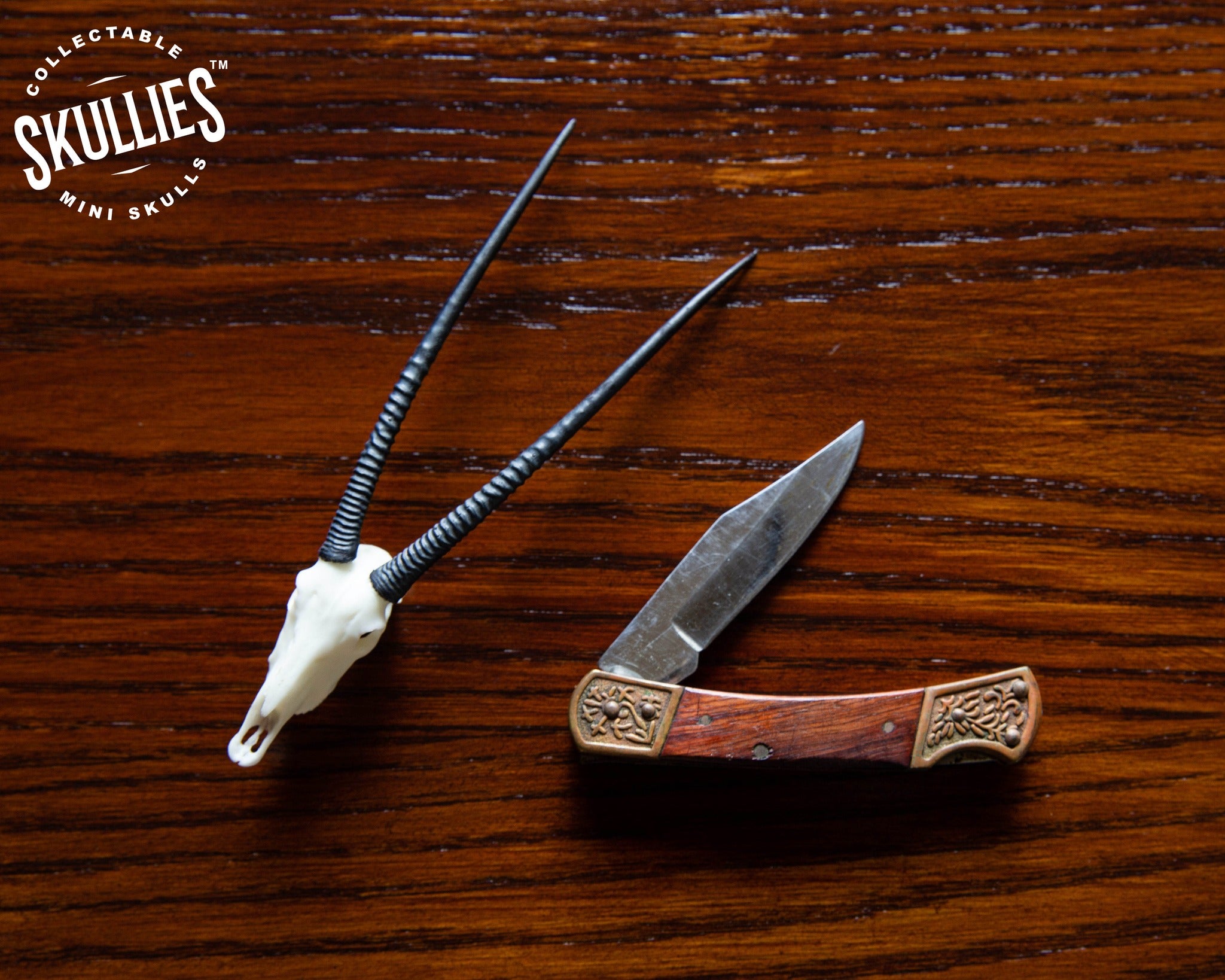 Resin Skullies - Miniature Replica Gemsbuck Skull