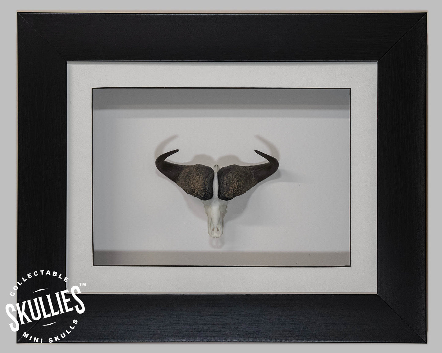 Resin Skullies - Miniature Replica Cape Buffalo Skull