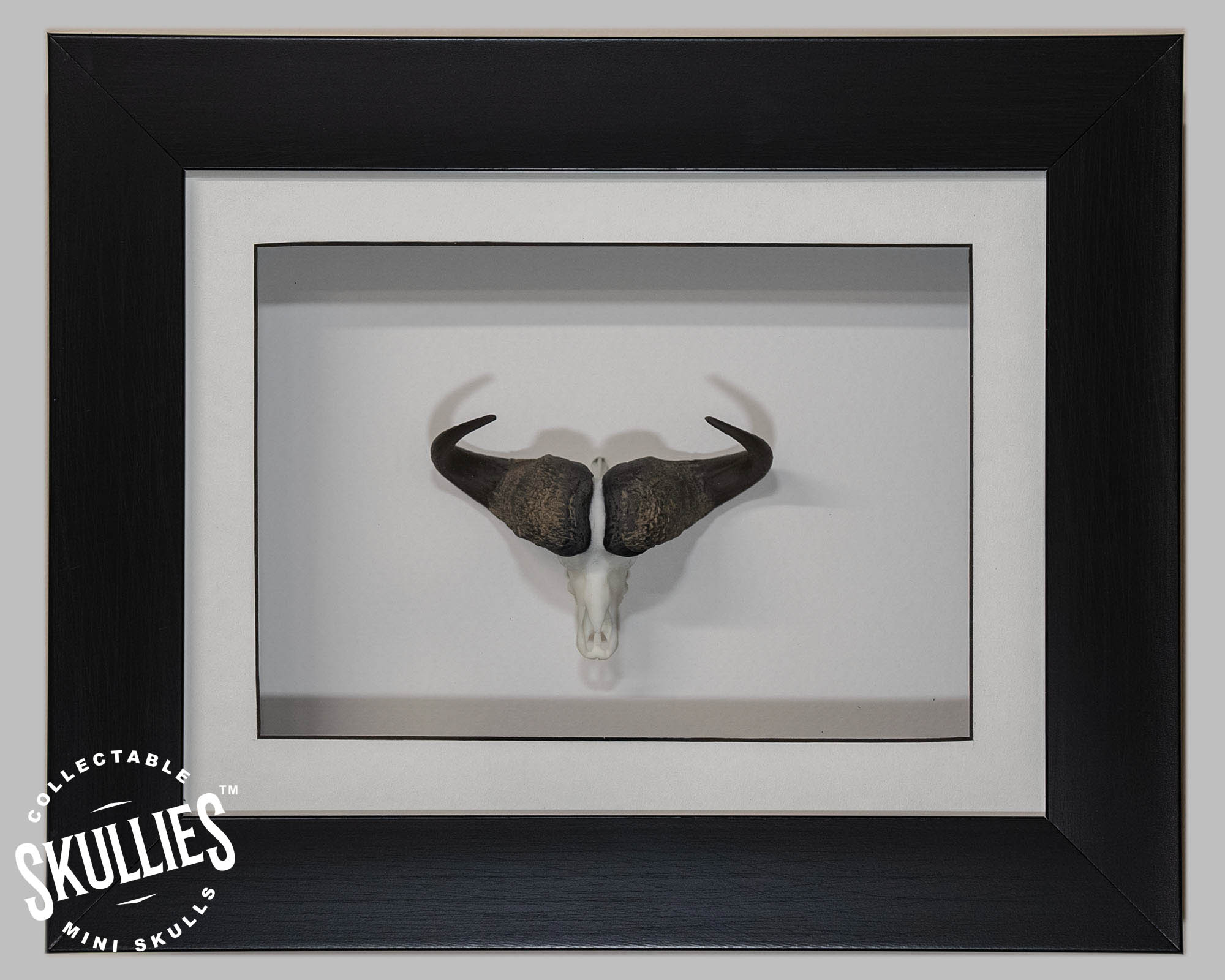 Resin Skullies - Miniature Replica Cape Buffalo Skull