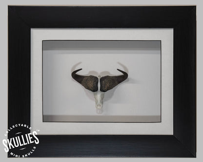 Resin Skullies - Miniature Replica Cape Buffalo Skull