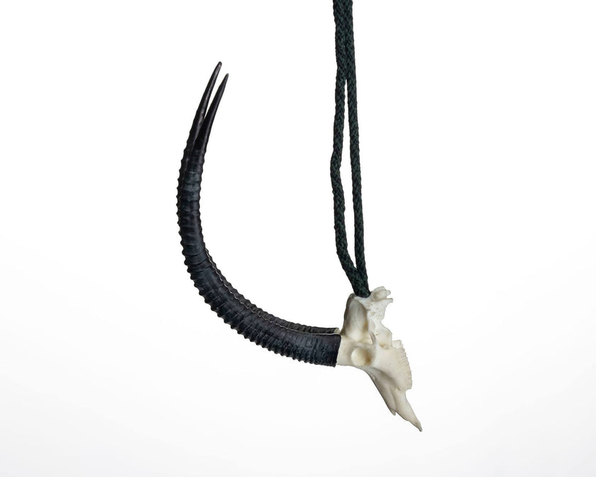 Resin Skullies - Miniature Replica Sable Skull