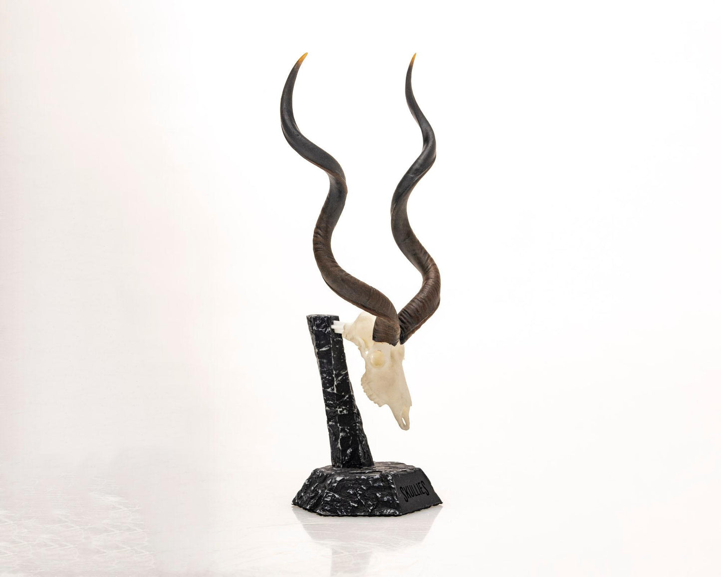 Resin Skullies - Miniature Replica Southern Greater Kudu Skull Regular price