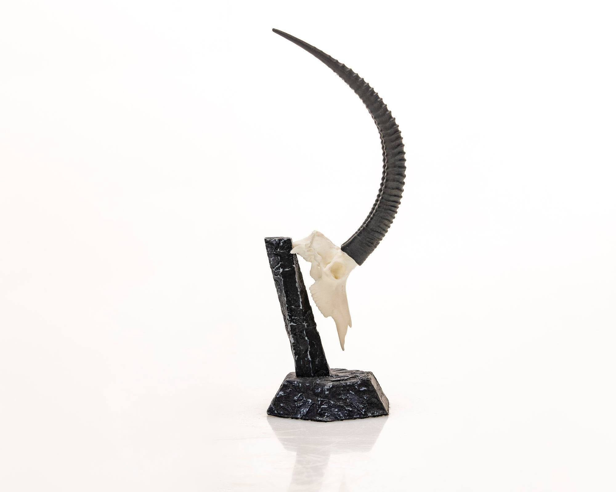 Resin Skullies - Miniature Replica Sable Skull