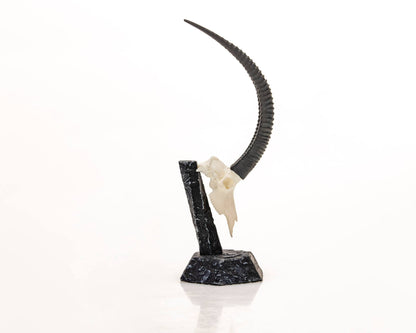 Resin Skullies - Miniature Replica Sable Skull