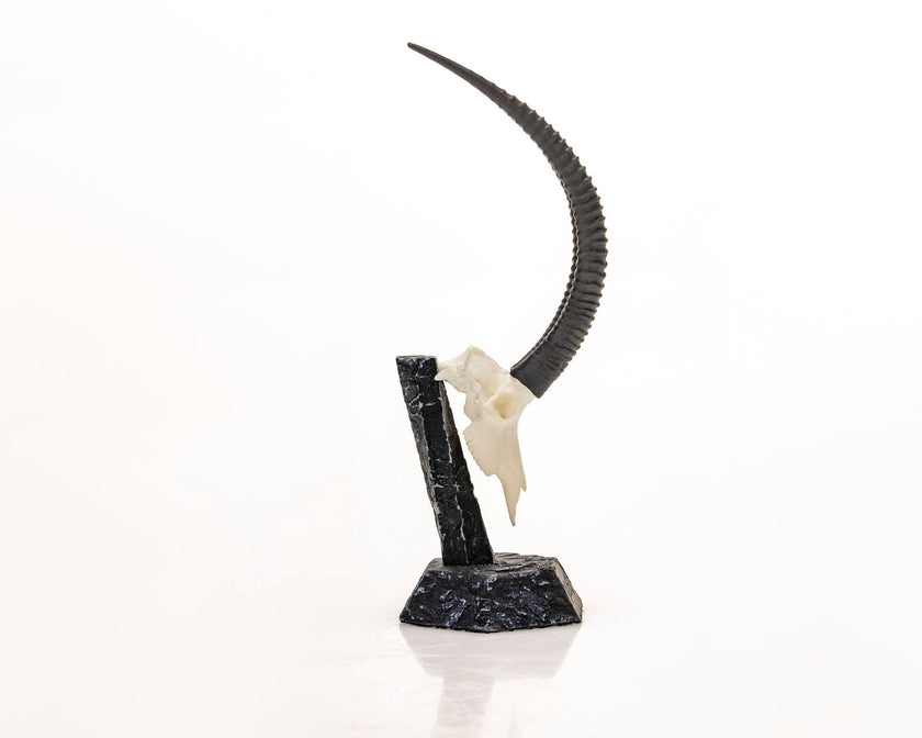 Resin Skullies - Miniature Replica Sable Skull