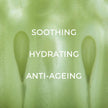 Cucumber & Aloe Toner with Niacinamide 125ml
