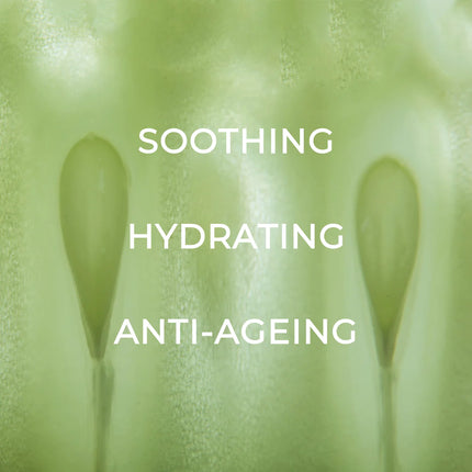 Cucumber & Aloe Toner with Niacinamide 125ml