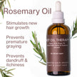 Hot Oil Hair Therapy with Rosemary