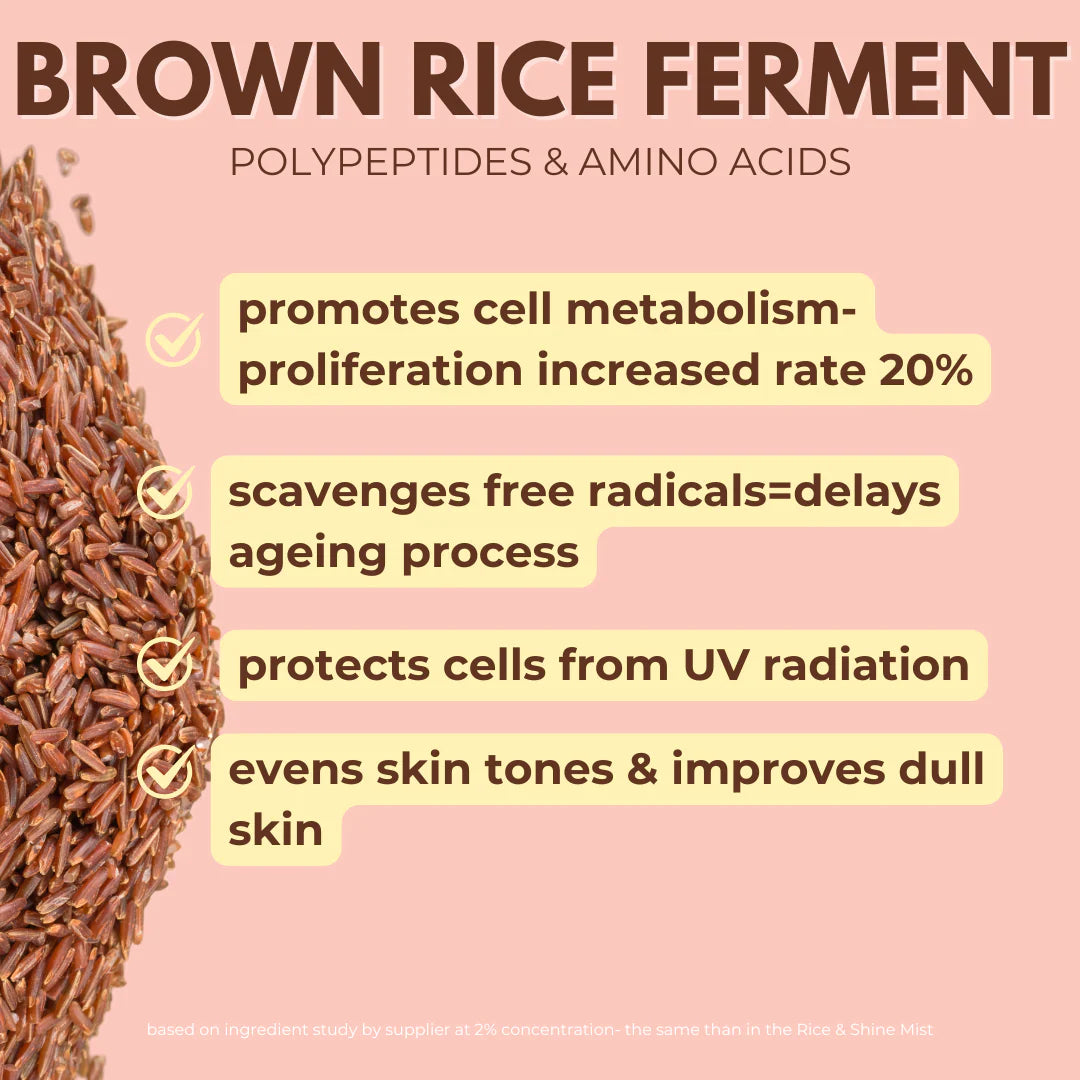 Exosomes Rice & Shine Mist with Centella, Rice Ferment & Hyaluronic Acid 100ml