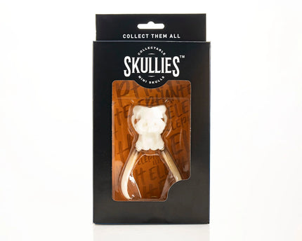 Resin Skullies - Miniature Replica Elephant Skull