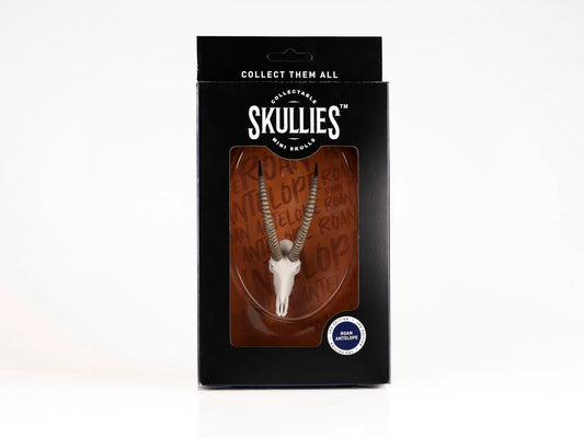 Resin Skullies - Miniature Replica Roan Skull
