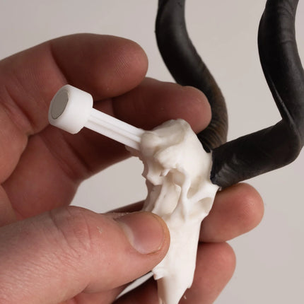 Skullies Magnet Accessory